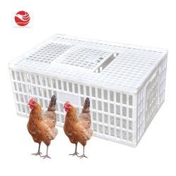 Клетка для бройлеров пластиковая 900*600*405 мм для птицефермы (арт. 26-1200028)