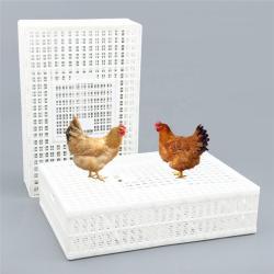 Контейнер для перевозки птиц пластиковый 900*600*230 мм (арт. 26-1200043)