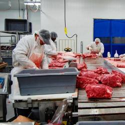 Контейнер пластиковый 30 л для мяса и птицы (арт. 26-1200061)