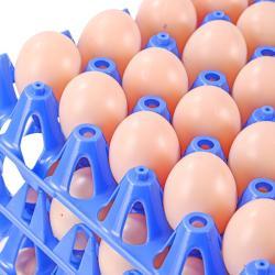 Лотки пластиковые для яиц транспортировочные (арт. 26-1200085)