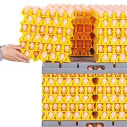 Пластиковый поддон для яиц системы транспортировки (арт. 26-1200086)