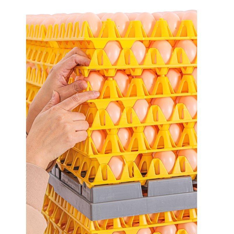Пластиковый поддон для яиц системы транспортировки (арт. 26-1200086)