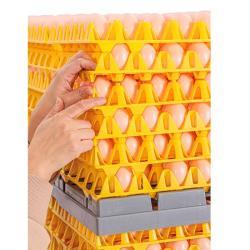 Пластиковый поддон для яиц системы транспортировки (арт. 26-1200086)