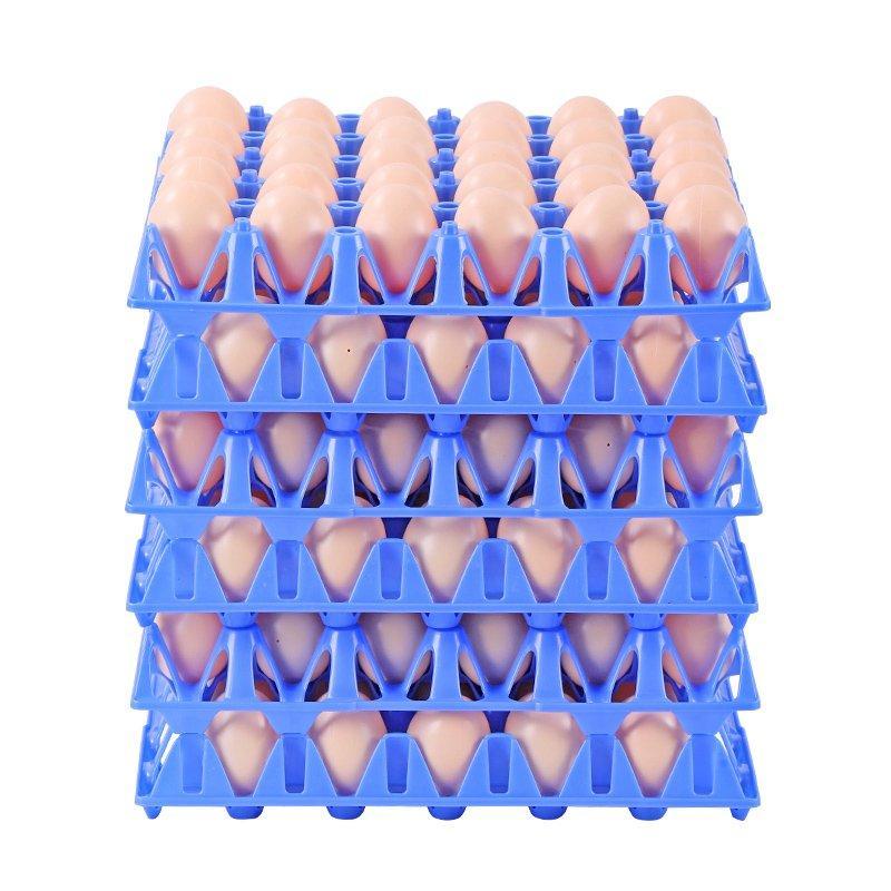 Лотки для яиц пластиковые для транспортировки (арт. 26-1200087)