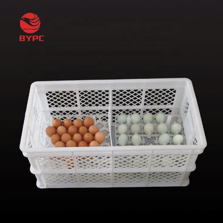 Лоток для яиц пластиковый для транспортировки HDPE (арт. 26-1200097)