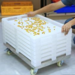 Лоток пластиковый сушильный сетчатый штабелируемый для кондитерских изделий (арт. 26-1200169)