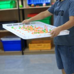 Лоток пластиковый пищевой PP PE для сушки морепродуктов (арт. 26-1200171)