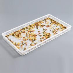 Лоток пластиковый для сушки желатиновых капсул (арт. 26-1200172)