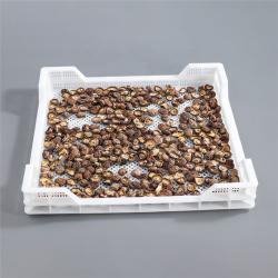 Камера дегидрации с пластиковым лотком для овощей и мяса (арт. 26-1200183)