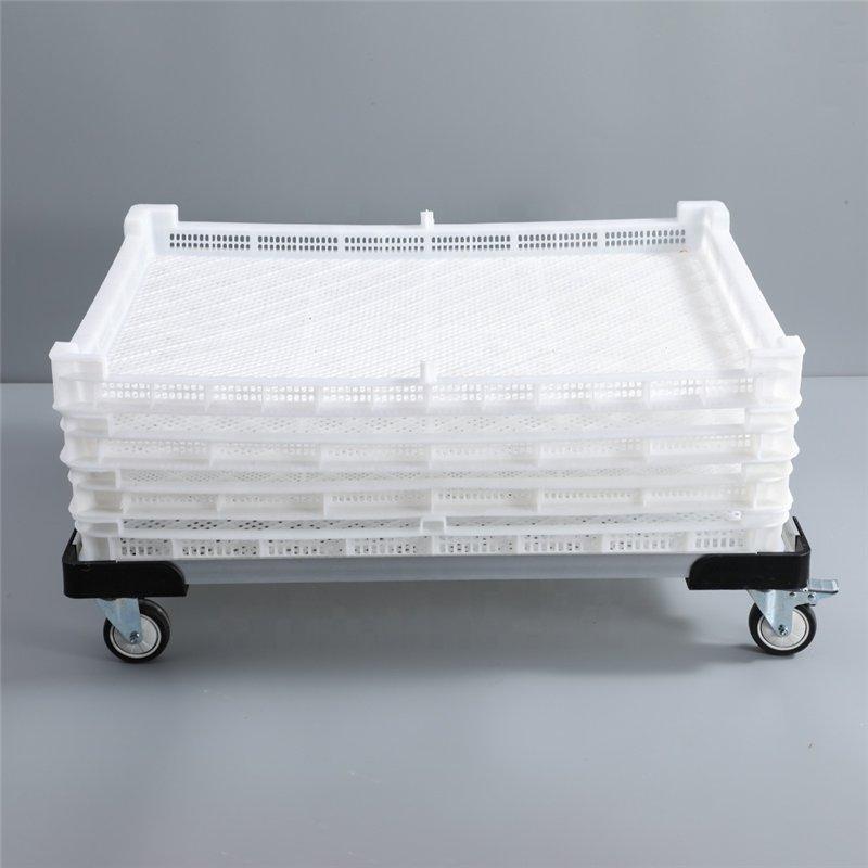 Лоток пластиковый 600*400*65 мм для сушки фруктов (арт. 26-1200189)