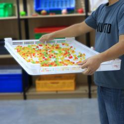 Сушильный лоток пластиковый с вентиляцией для фруктов и овощей (арт. 26-1200194)