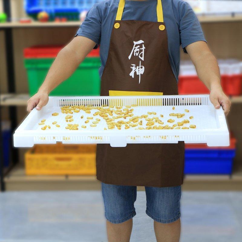 Лотки пластиковые вентиляционные пищевые для сушки конфет (арт. 26-1200196)