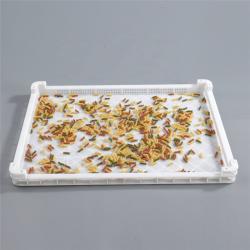 Лоток пластиковый пищевой большой штабелируемый для теста (арт. 26-1200197)