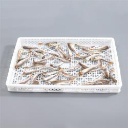 Лоток для дегидрации пластиковый (арт. 26-1200202)