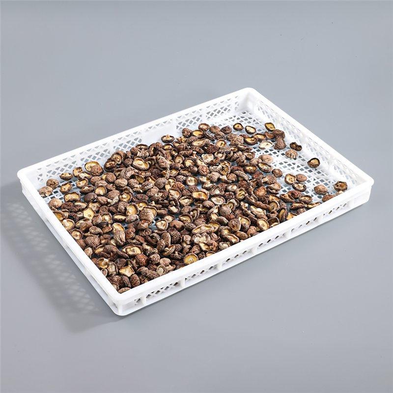 Лоток для дегидрации пластиковый (арт. 26-1200202)