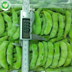 Замороженные бобы эдамаме IQF BRC HACCP ISO (арт. 26-1302020)