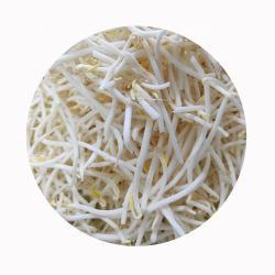 Замороженные пророщенные бобы мунг IQF зеленые (арт. 26-1302025)