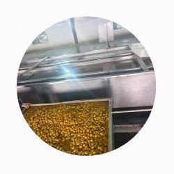 Каштаны вареные замороженные китайские для азиатской кухни (арт. 26-1302042)