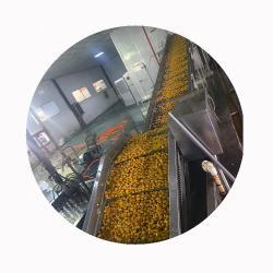 Каштаны вареные замороженные китайские для азиатской кухни (арт. 26-1302042)