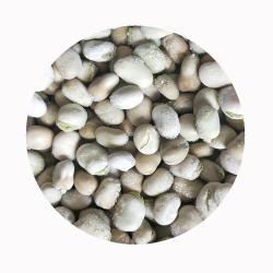 Бобы замороженные очищенные зеленые IQF (арт. 26-1302048)