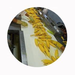 Кукуруза замороженная сладкая iqf для приготовления (арт. 26-1302049)