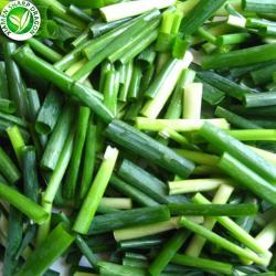 Лук весенний замороженный резаный 10 кг для кулинарии (арт. 26-1302058)