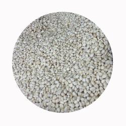 Пюре чесночное замороженное нарезка прямоугольная 10кг (арт. 26-1302060)