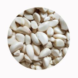 Пюре чесночное замороженное нарезка прямоугольная 10кг (арт. 26-1302060)