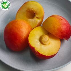 Сливы замороженные половинками кисло-сладкие китайские (арт. 26-1302072)