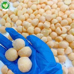 Замороженные шарики канталупы hamigua 10 кг (арт. 26-1302089)