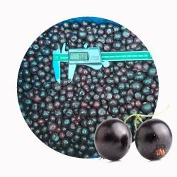 Ягоды замороженные органические черная и красная смородина (арт. 26-1302092)