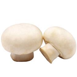 Шампиньоны белые замороженные целые органические (арт. 26-1302099)