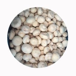 Грибы шампиньоны белые замороженные IQF приправленные (арт. 26-1302102)