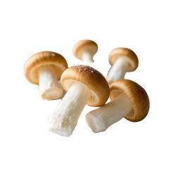 Грибы намеко свежие целые IQF обработанные (арт. 26-1302103)