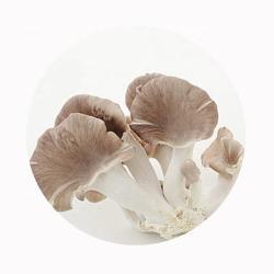 Грибы вешенки замороженные серые 1кг для приготовления (арт. 26-1302107)