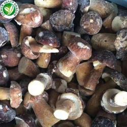 Грибы замороженные белые и маслята IQF 12 тонн (арт. 26-1302128)