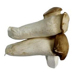 Грибы королевские вешенки замороженные органические ломтики (арт. 26-1302139)