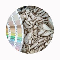 Грибы шиитаке замороженные целые нарезанные кубиками (арт. 26-1302140)