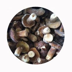 Грибы замороженные IQF белые для кулинарии (арт. 26-1302142)