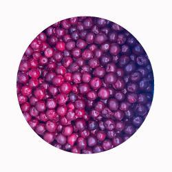 Замороженные вишни без косточек для выпечки и напитков (арт. 26-1302182)