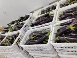 Чипсы вакуумные из батата и клубники 10 кг (арт. 26-1302192)