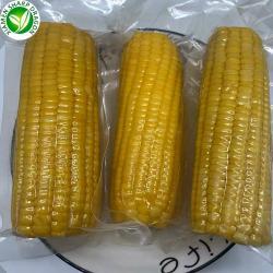 Снэки кукурузные вакуумные без ГМО для быстрого употребления (арт. 26-1302249)