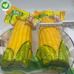 Кукуруза в початках вакуумная для быстрого употребления (арт. 26-1302250)