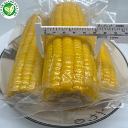 Закуска из кукурузы вакуумная без ГМО для быстрого употребления (арт. 26-1302251)