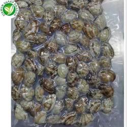 Мясо моллюска без раковины замороженное для гурманов (арт. 26-1302265)