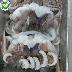 Замороженный осьминог IQF 10кг для экспорта (арт. 26-1302268)