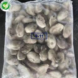 Мясо устрицы замороженное без раковины IQF (арт. 26-1302279)