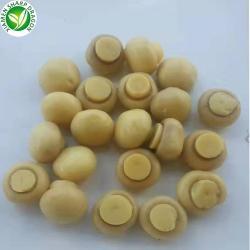 Консервированные шампиньоны целые соленые органические (арт. 26-1302304)