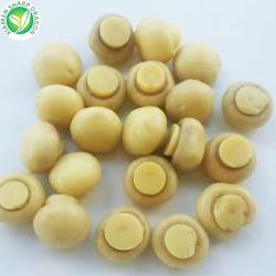 Консервированные шампиньоны целые соленые органические (арт. 26-1302304)