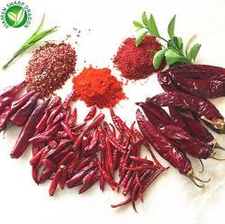 Перец чили сушеный красный 2 года хранения для еды (арт. 26-1302307)